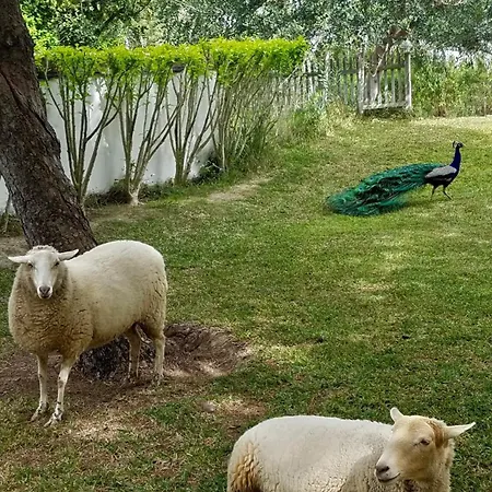 Holiday home Cortijo Bablou (adults Only) *